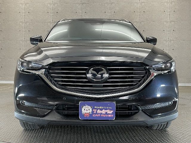Mazda CX-8 2018-07 4594-9