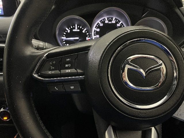 Mazda CX-8 2018-07 4594-20