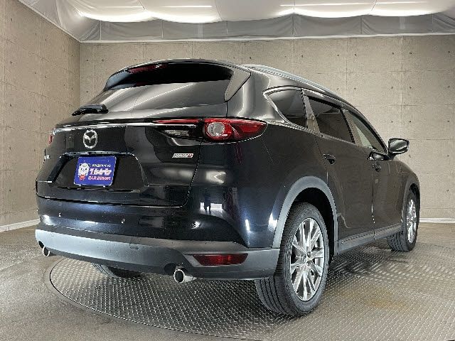 Mazda CX-8 2018-07 4594-1