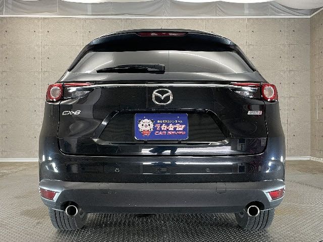 Mazda CX-8 2018-07 4594-11