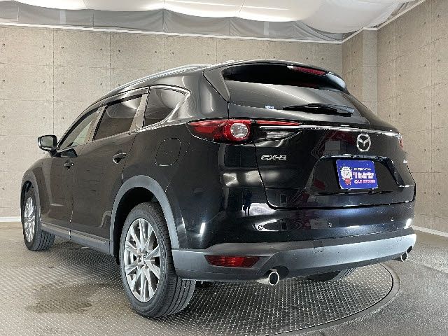 Mazda CX-8 2018-07 4594-12