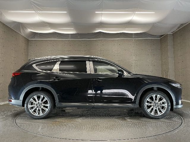 Mazda CX-8 2018-07 4594-13