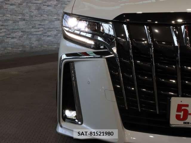 Toyota ALPHARD 2018-08 229749-16