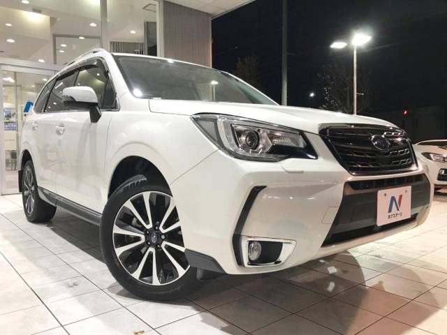 Subaru FORESTER 2017-04 195478-18