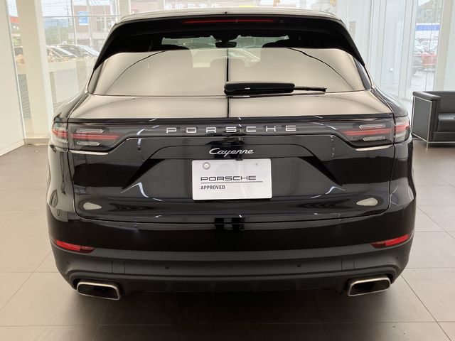 Porsche CAYENNE 2019-10 196078-6