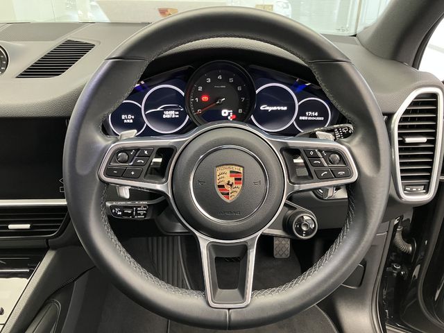 Porsche CAYENNE 2019-10 196078-12
