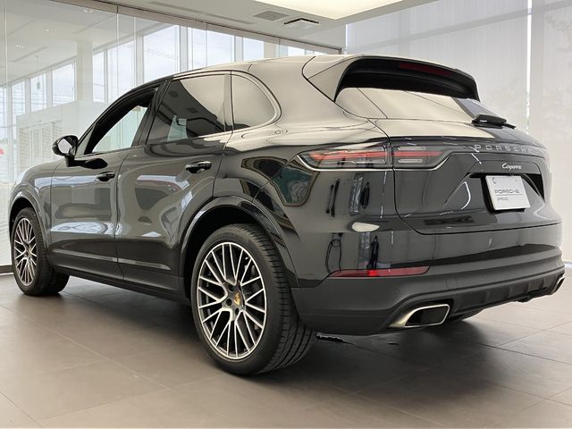 Porsche CAYENNE 2019-10 196078-7