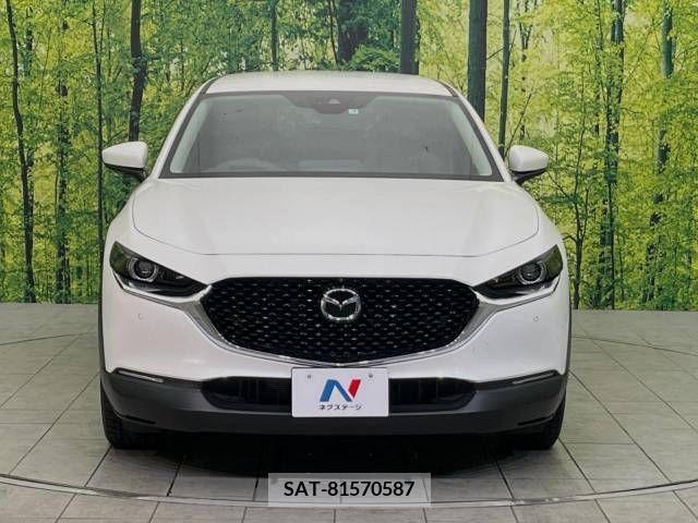 Mazda CX-30 2021-03 213819-14