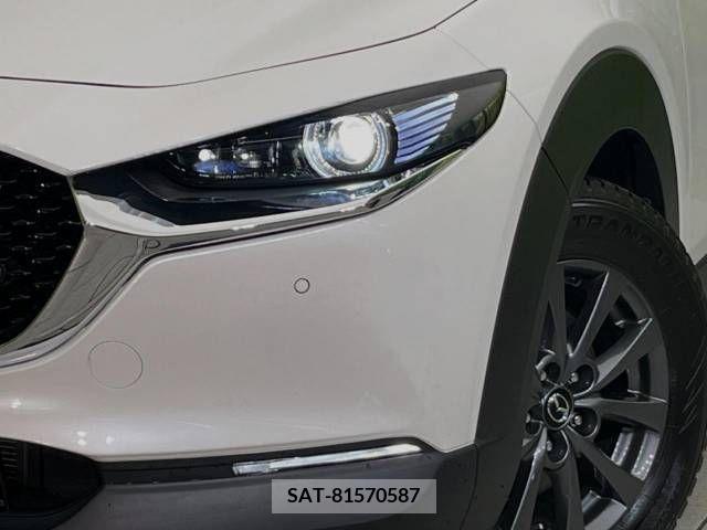 Mazda CX-30 2021-03 213819-12