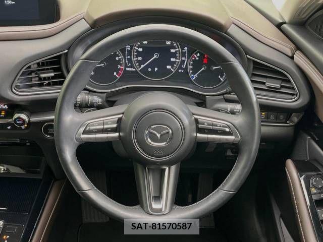 Mazda CX-30 2021-03 213819-11