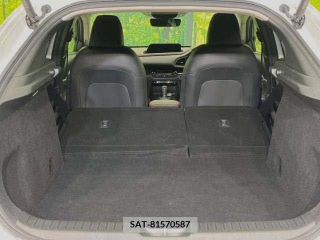 Mazda CX-30 2021-03 213819-10