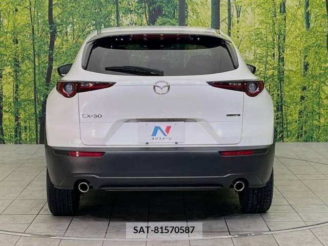 Mazda CX-30 2021-03 213819-15