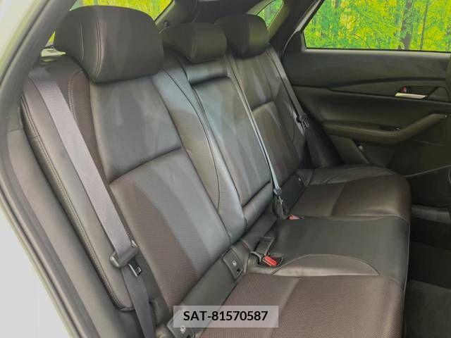 Mazda CX-30 2021-03 213819-9