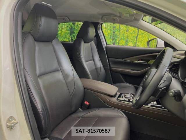 Mazda CX-30 2021-03 213819-8