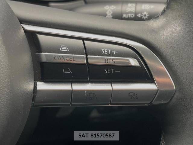 Mazda CX-30 2021-03 213819-5