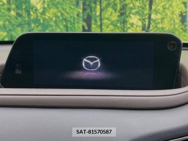 Mazda CX-30 2021-03 213819-2