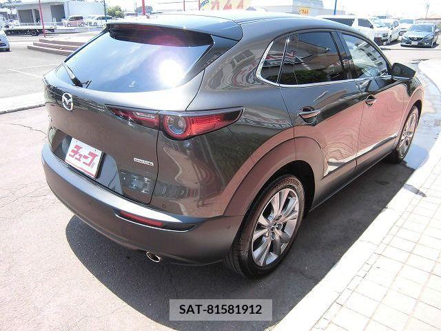 Mazda CX-30 2020-01 331553-2
