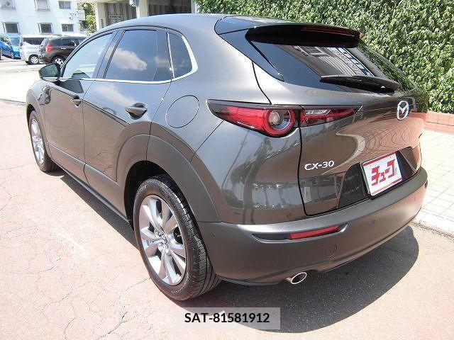 Mazda CX-30 2020-01 331553-8