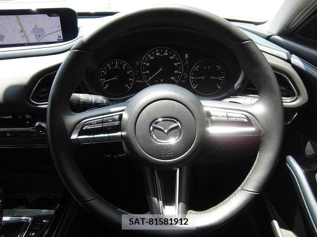 Mazda CX-30 2020-01 331553-13