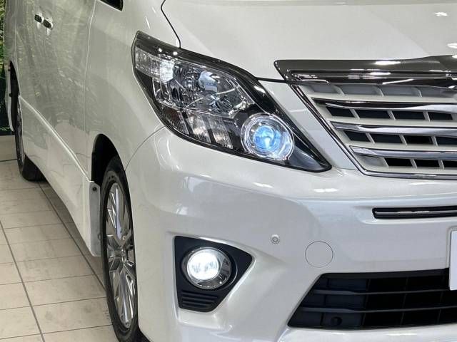 Toyota ALPHARD 2013-12 25173-13