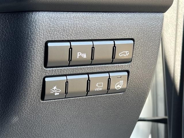 Lexus NX 2015-09 4202-13