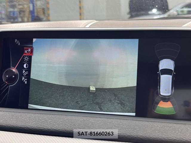 Bmw X5 2014-12 318813-4