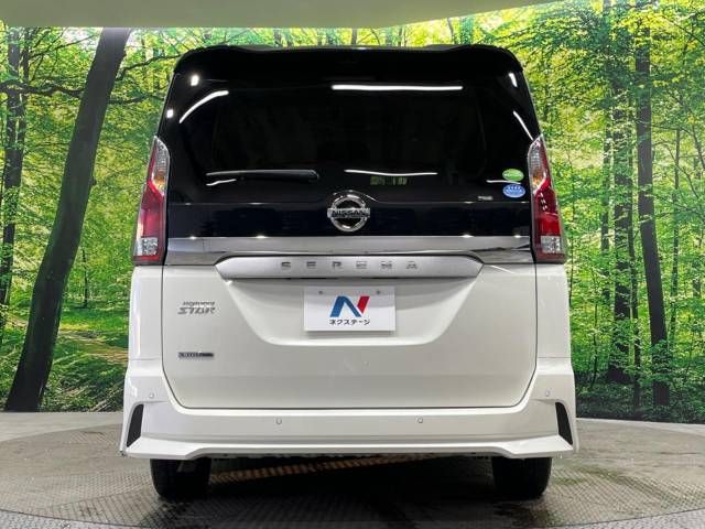 Nissan SERENA 2019-01 196425-16