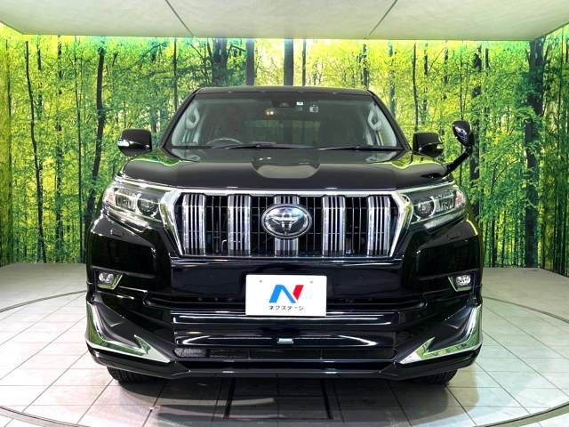 Toyota PRADO 2019-08 187830-15