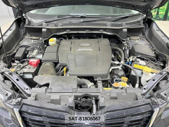 Subaru FORESTER 2019-03 224018-16