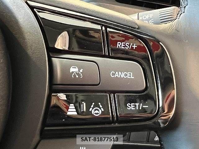 Honda VEZEL 2023-10 288272-11