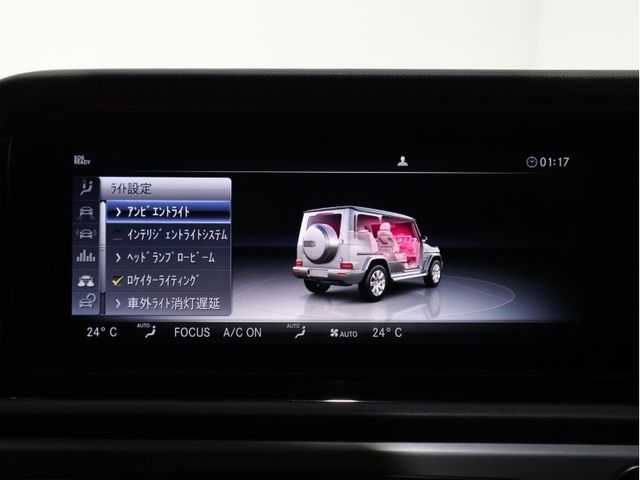 Mercedes Benz G-CLASS 2019-09 193930-14