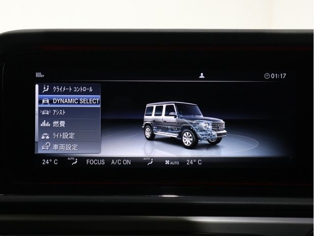 Mercedes Benz G-CLASS 2019-09 193930-15