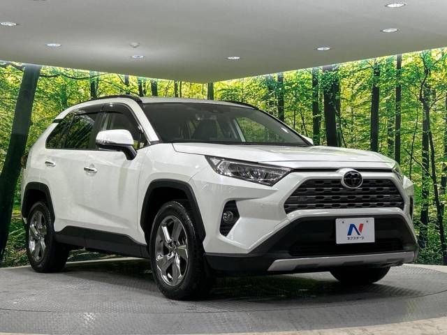 Toyota RAV4 2019-10 17096-16