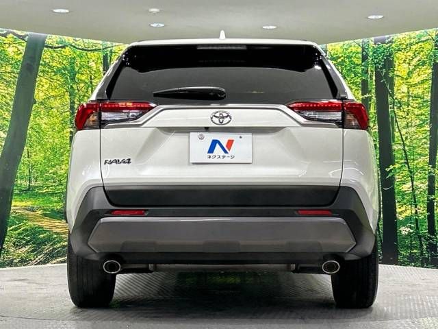Toyota RAV4 2019-10 17096-15