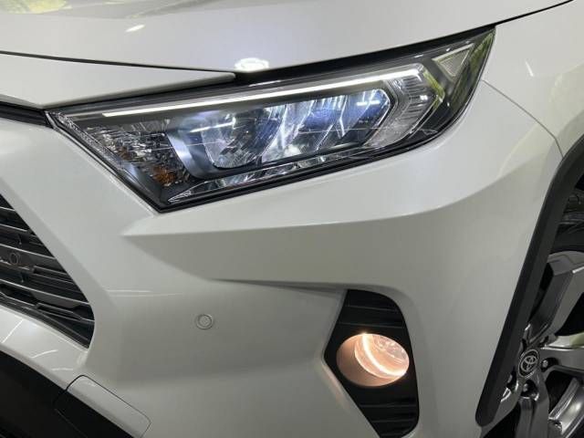 Toyota RAV4 2019-10 17096-11