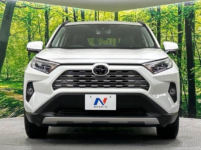 Toyota RAV4 2019-10 17096-14