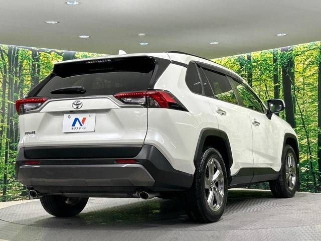 Toyota RAV4 2019-10 17096-17