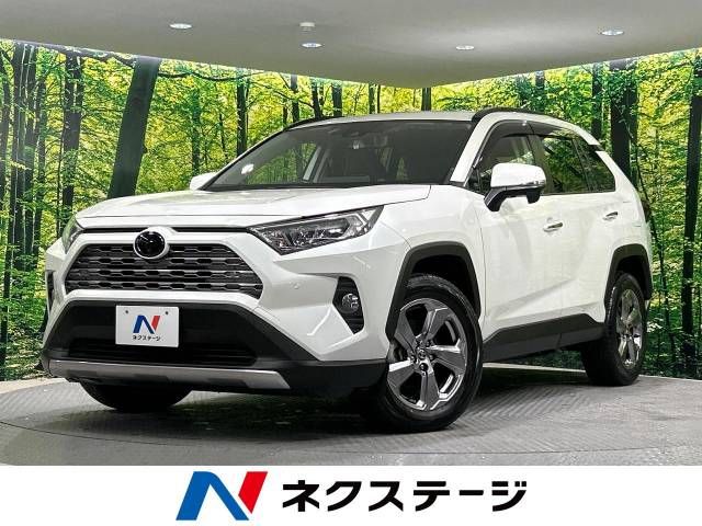 Toyota RAV4 2019-10 17096-0