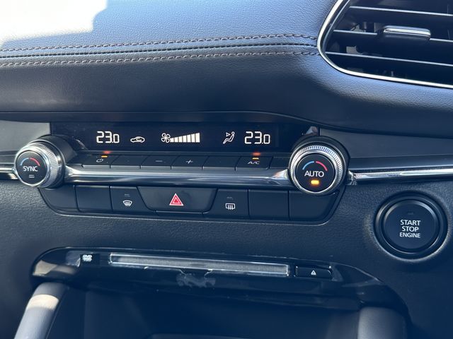 Mazda MAZDA3 2022-03 11565-9