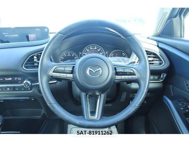 Mazda CX-30 2019-11 358522-14