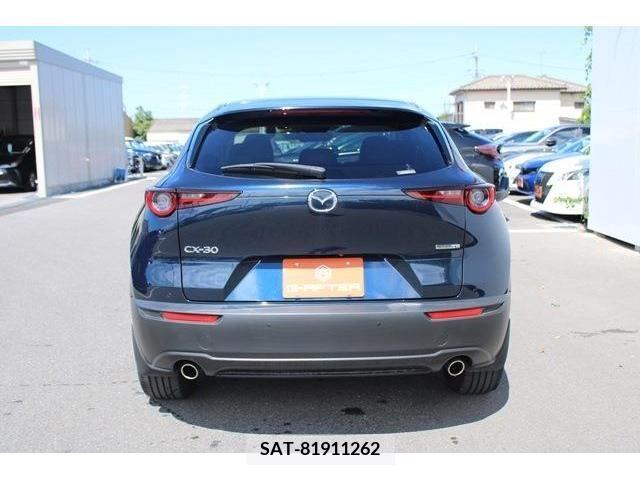 Mazda CX-30 2019-11 358522-7
