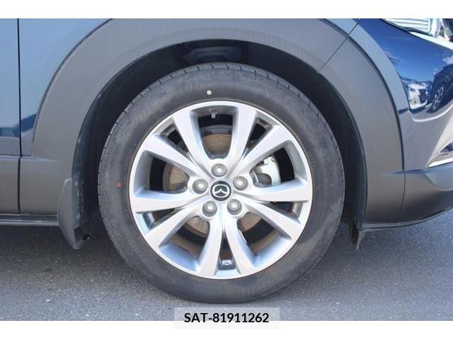 Mazda CX-30 2019-11 358522-9