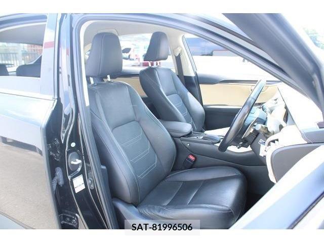 Lexus NX 2015-07 334336-12