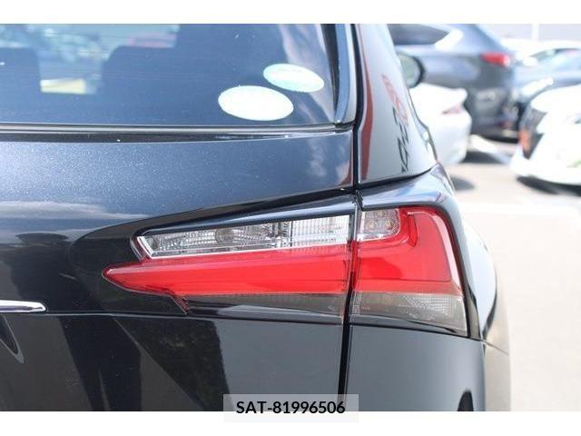 Lexus NX 2015-07 334336-10