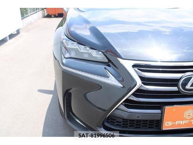 Lexus NX 2015-07 334336-9
