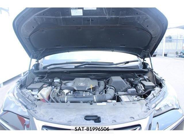Lexus NX 2015-07 334336-17