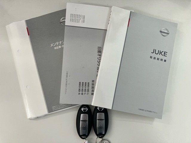 Nissan JUKE 2019-08 17654-24