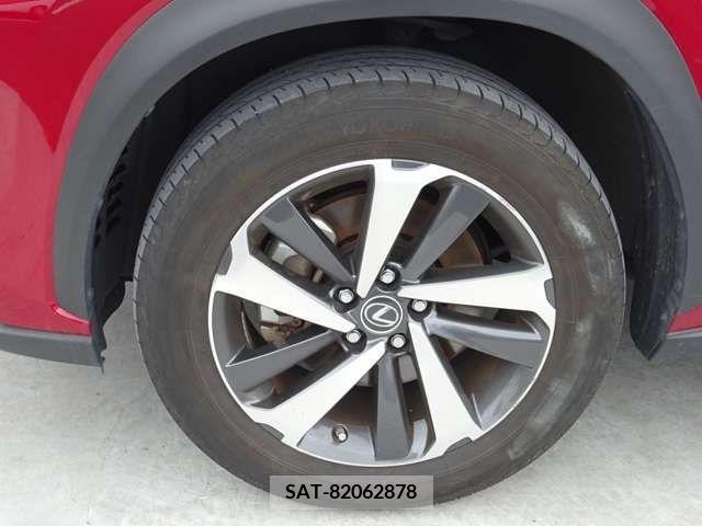 Lexus NX 2021-06 371692-12