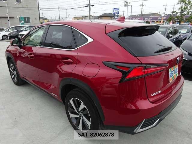 Lexus NX 2021-06 371692-2