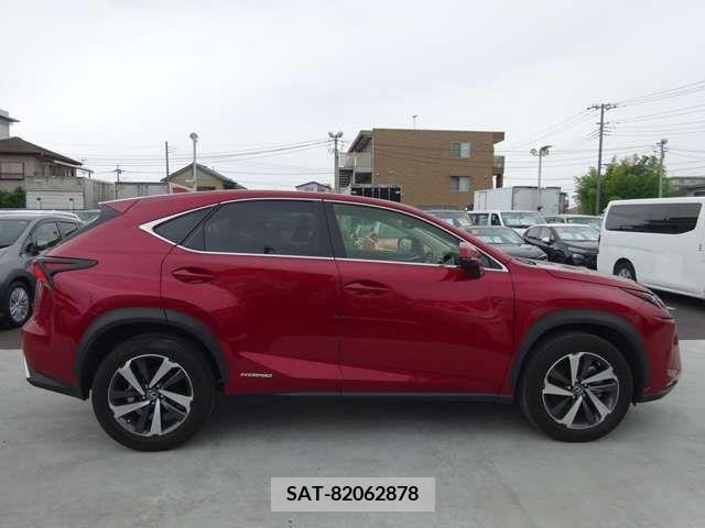 Lexus NX 2021-06 371692-11